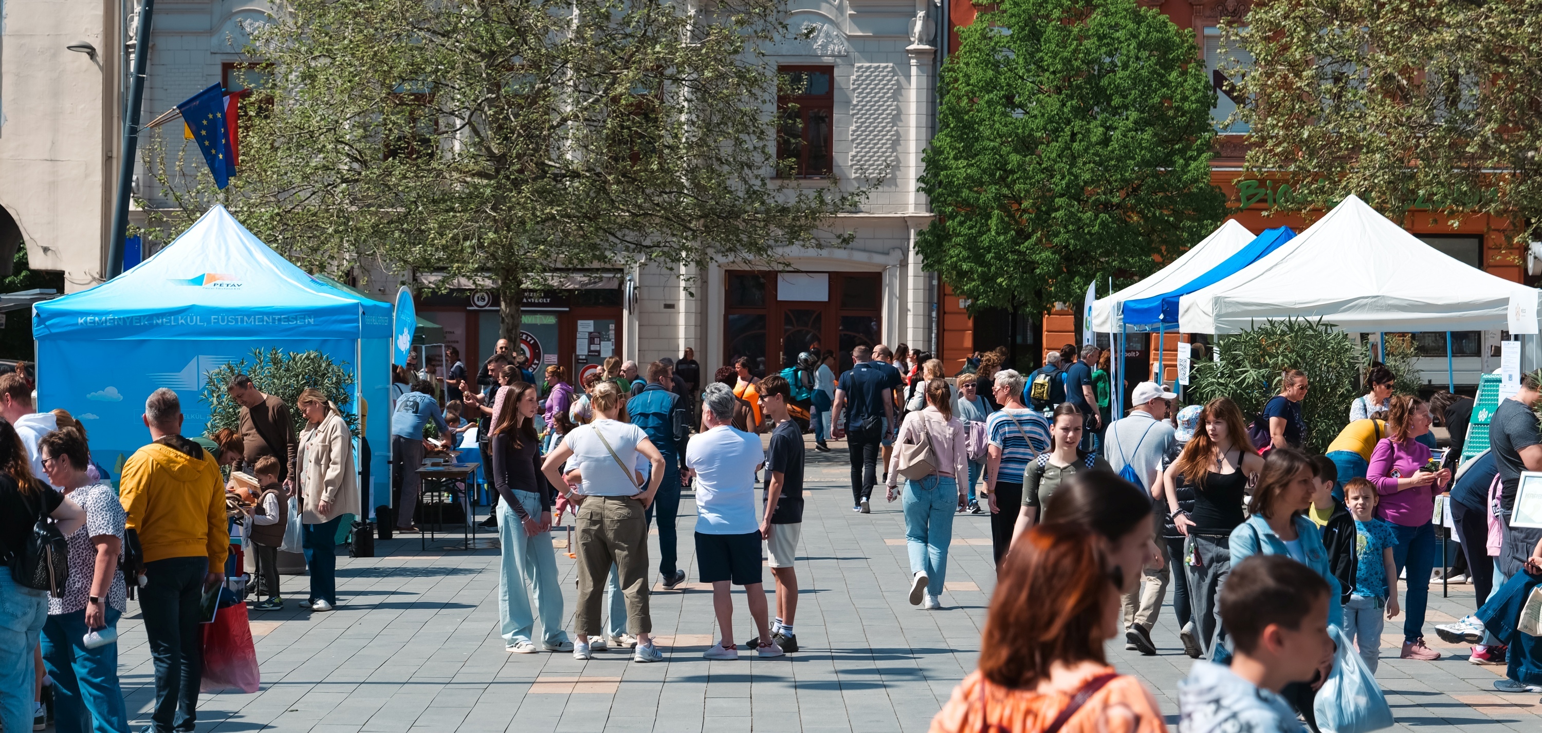 Részt vettünk a Zöld Családi Napon kiemelt képe